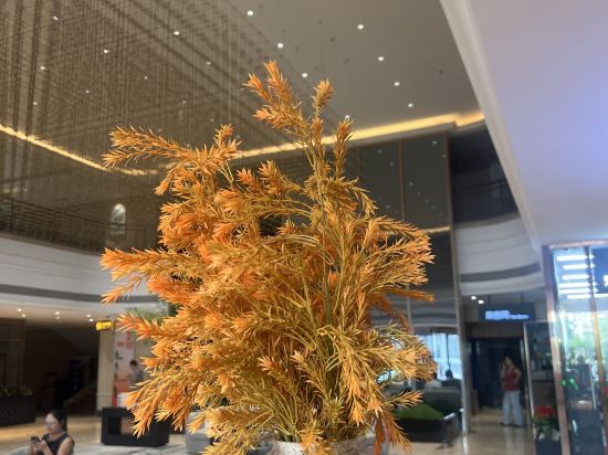 福州金仕頓大飯店（三坊七巷店）優惠