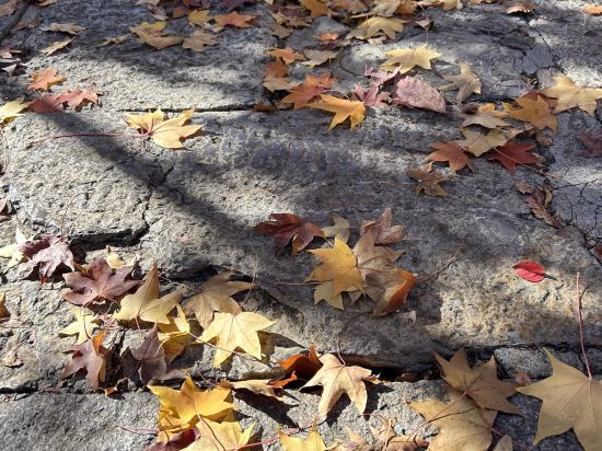 古北水鎮古北之光度假飯店優惠