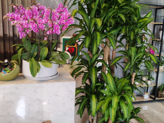 深圳弘都飯店（南山地鐵站店）優惠