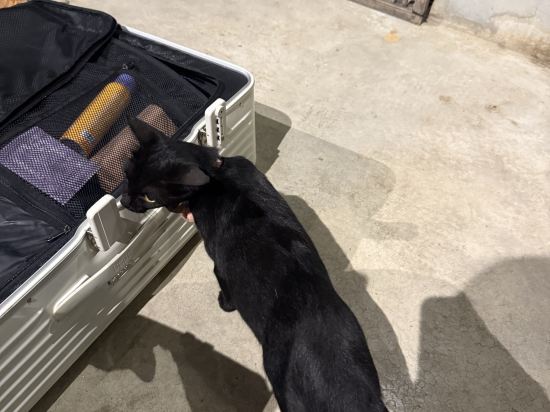 阿瑪塔蘭納精品飯店優惠