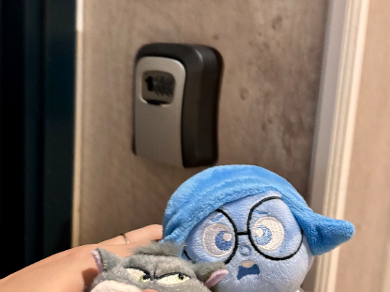 長洲荔枝酒店優惠