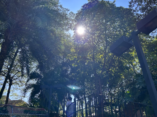 美林湖溫泉大飯店優惠