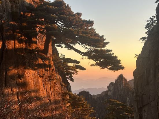 黃山排雲型旅飯店優惠