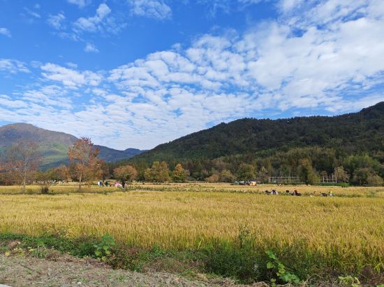 廈門華夏麗呈飯店優惠