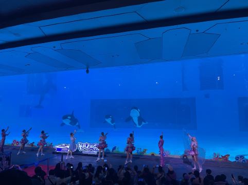 熙尚碧海酒店（珠海情侶路日月貝店）優惠