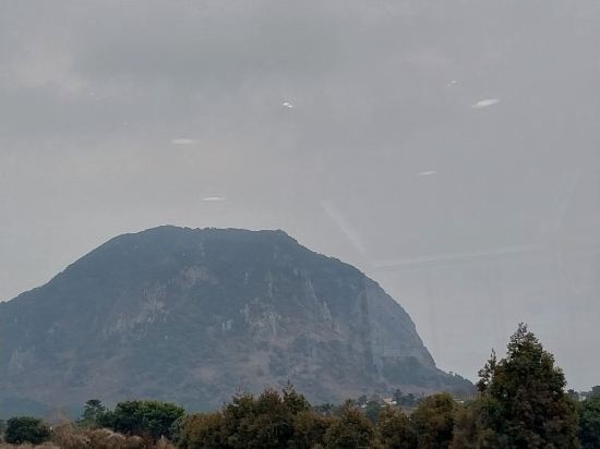 산방산 호텔 쿠폰