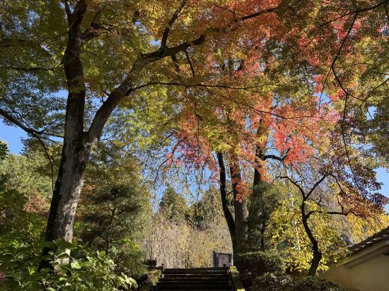 上諏訪車站飯店優惠