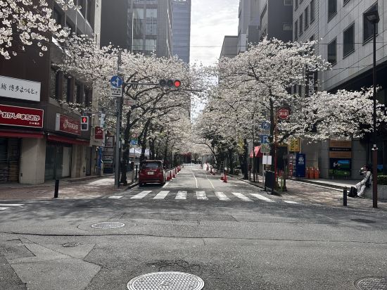 八重洲ターミナルホテル クーポン