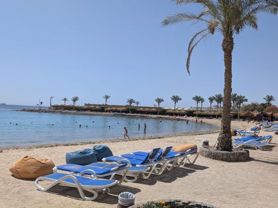 ZYA赫爾格達雷吉娜水上公園度假村優惠