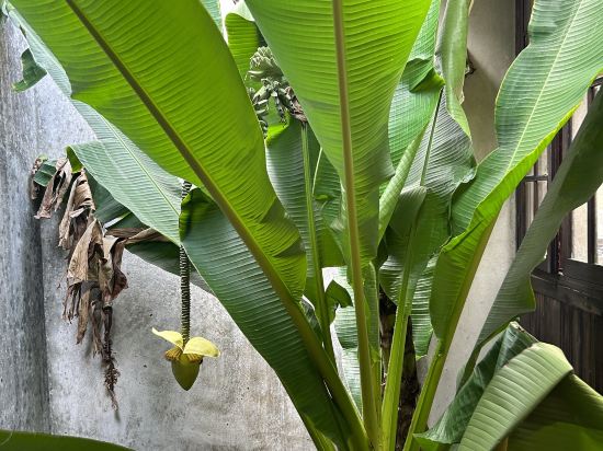 全季酒店（海寧海昌南路皮革城店）優惠