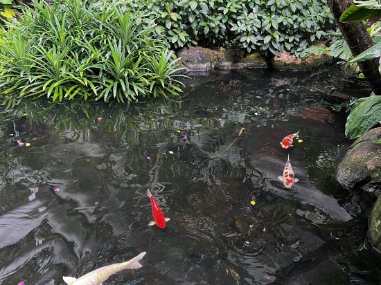 新加坡香格里拉大酒店（Staycation Approved）優惠