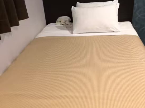 池袋站前利夫馬克斯飯店優惠