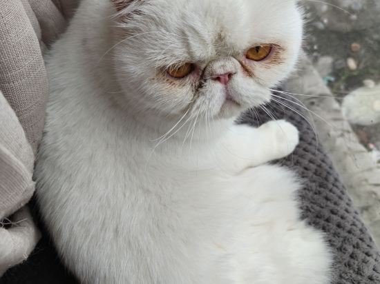 重慶吃山文化青年旅店優惠