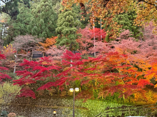 下呂溫泉 湯之島館優惠