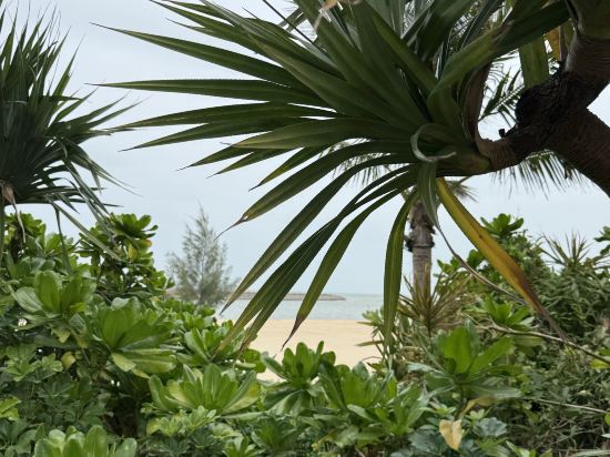 海口萬豪酒店優惠