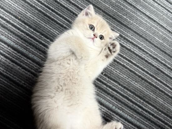 深圳華僑城藍汐精品酒店優惠