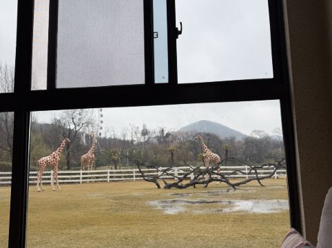 南京紫清湖温泉度假酒店優惠