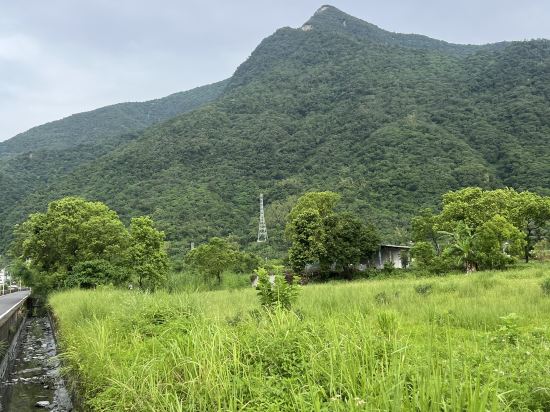 花田一鷺民宿優惠