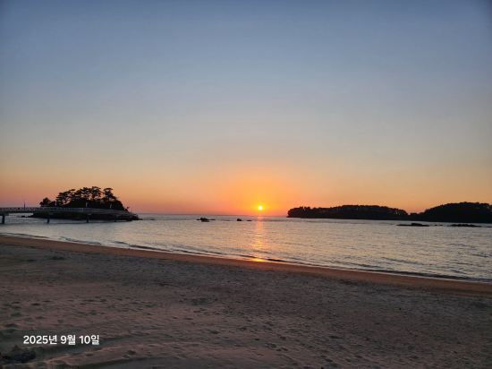 비체 팰리스 쿠폰