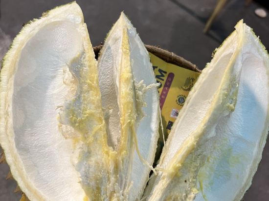 吉隆坡帝皇精品飯店優惠