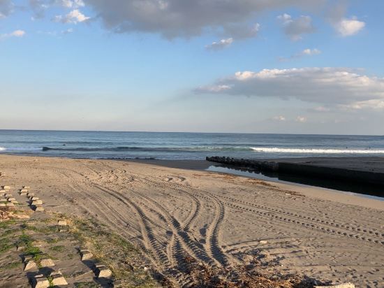 インターナショナルリゾートホテル　湯楽城 クーポン