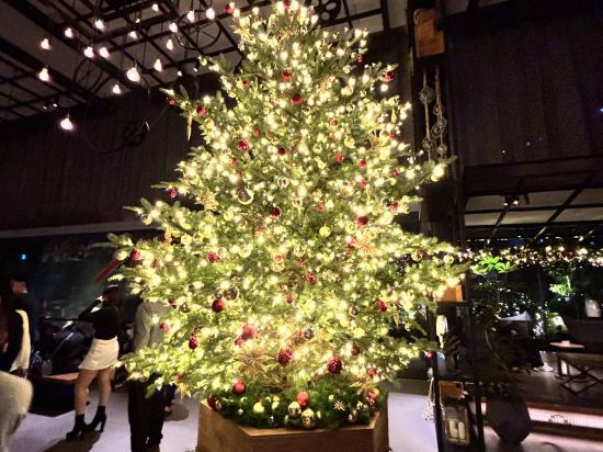 東京ベイ潮見プリンスホテル クーポン