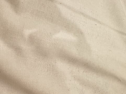 黃金海岸狂想曲度假村優惠