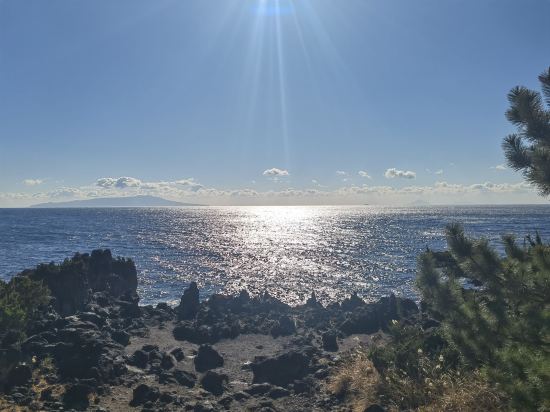伊豆・伊東温泉　大東館 クーポン