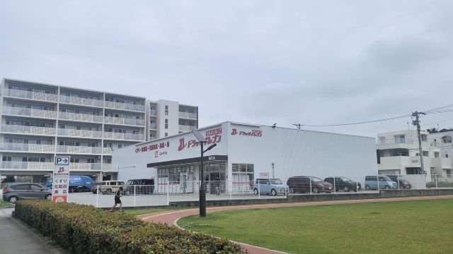 review picture