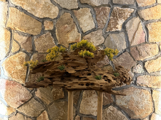 肇慶星語湖居酒店優惠