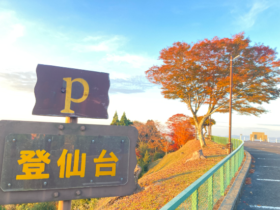 京阪ロテルド比叡 クーポン