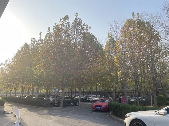 北京麗都皇冠假日酒店優惠