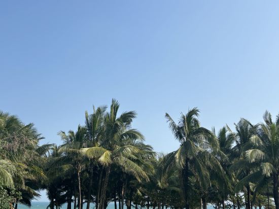 三亞海棠灣JW萬豪度假酒店優惠