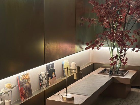 深圳大學南山科技園芮汐酒店優惠