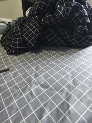 Clover Homestay Photos