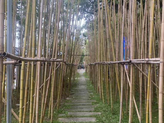 河內生態住宿1號青年旅館優惠