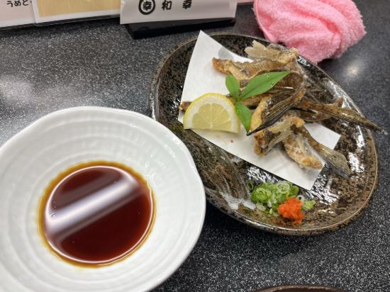 和歌山第1富士飯店優惠