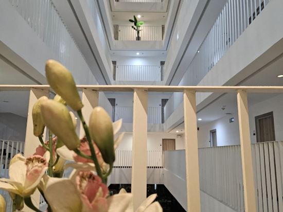 樹塔拉飯店優惠