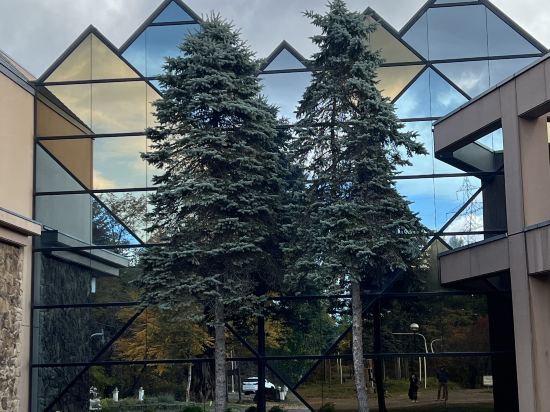 湯宿屈足溫泉湖旅館優惠