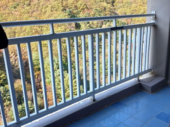 비발디 파크 쿠폰