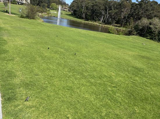 MGSM行政酒店優惠