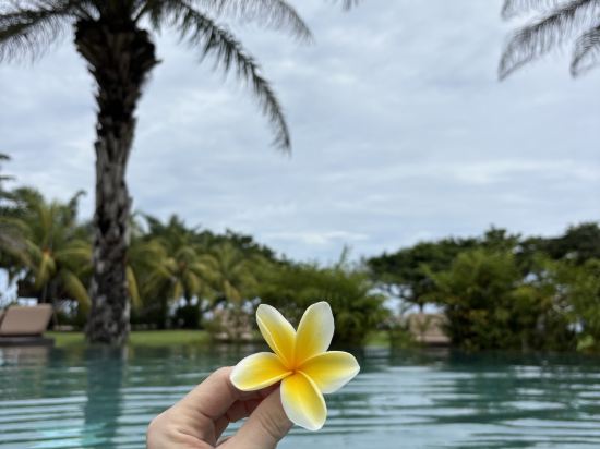 梅魯薩卡努沙杜瓦優惠