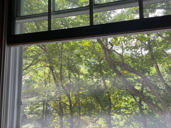 ゲストハウス クロイツェル クーポン