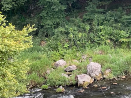 お宿　やお九　 クーポン