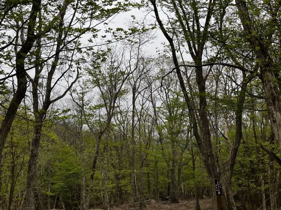 峰山高原ホテルリラクシア クーポン