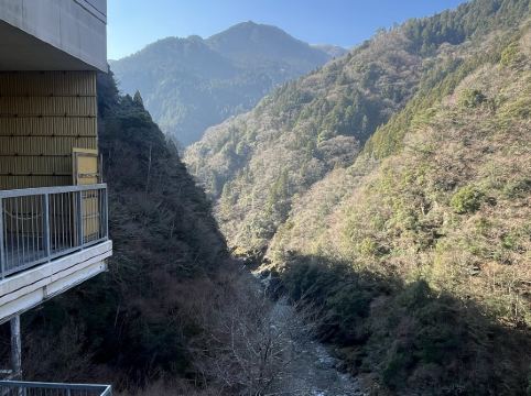 渓谷の隠れ宿　祖谷美人 クーポン