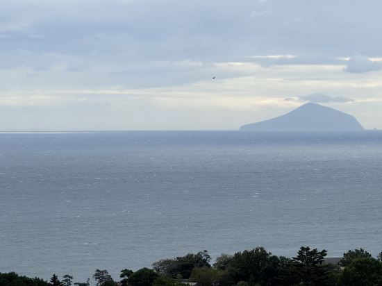 伊東高原龜之井飯店優惠