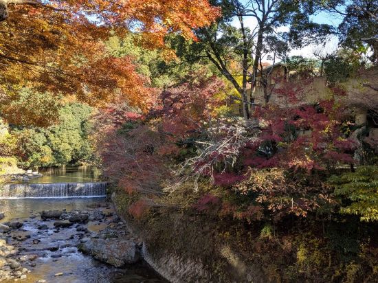 伏尾温泉　不死王閣 クーポン