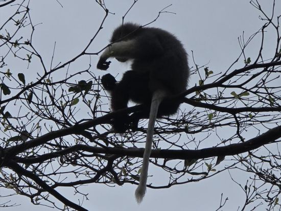 峴港洲際陽光半島度假飯店優惠