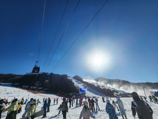 維瓦爾第公園飯店優惠